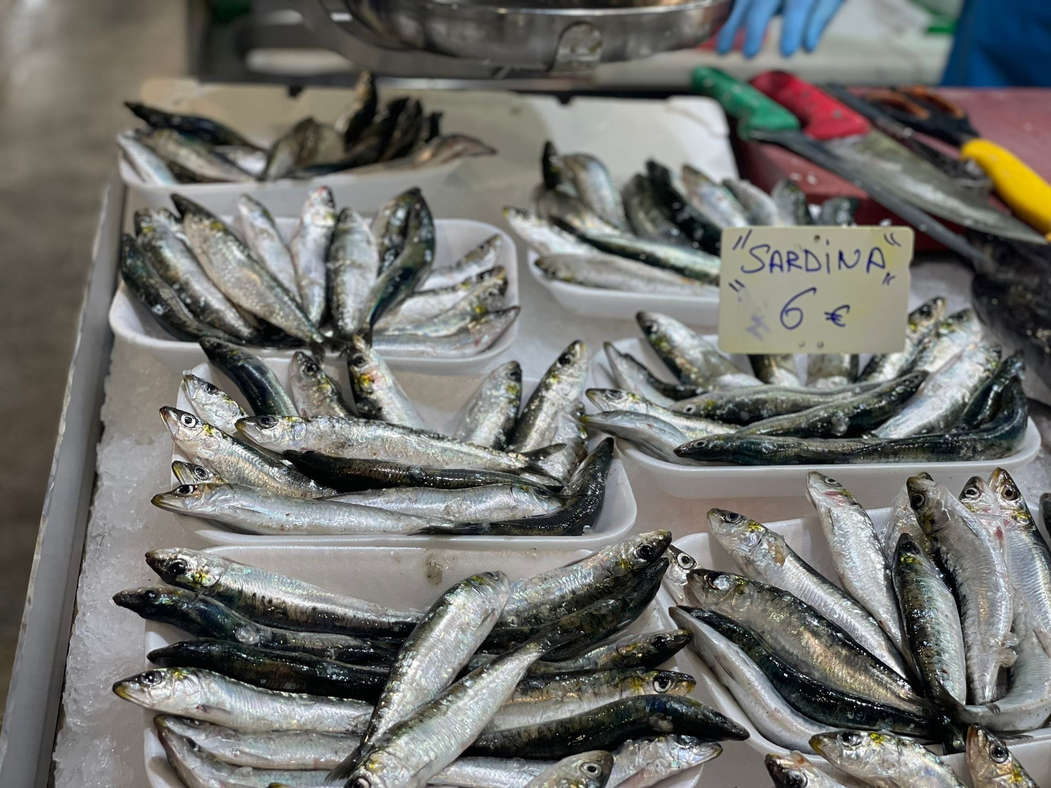 Sardinas en una plaza de abastos