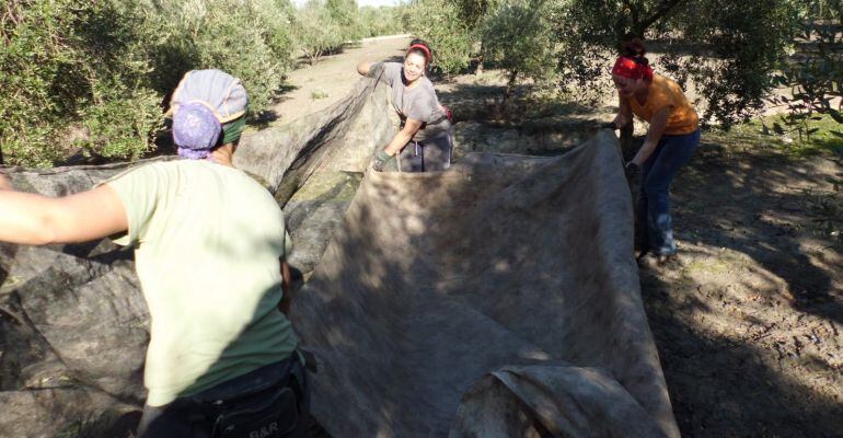 Trabajadoras en el campo.