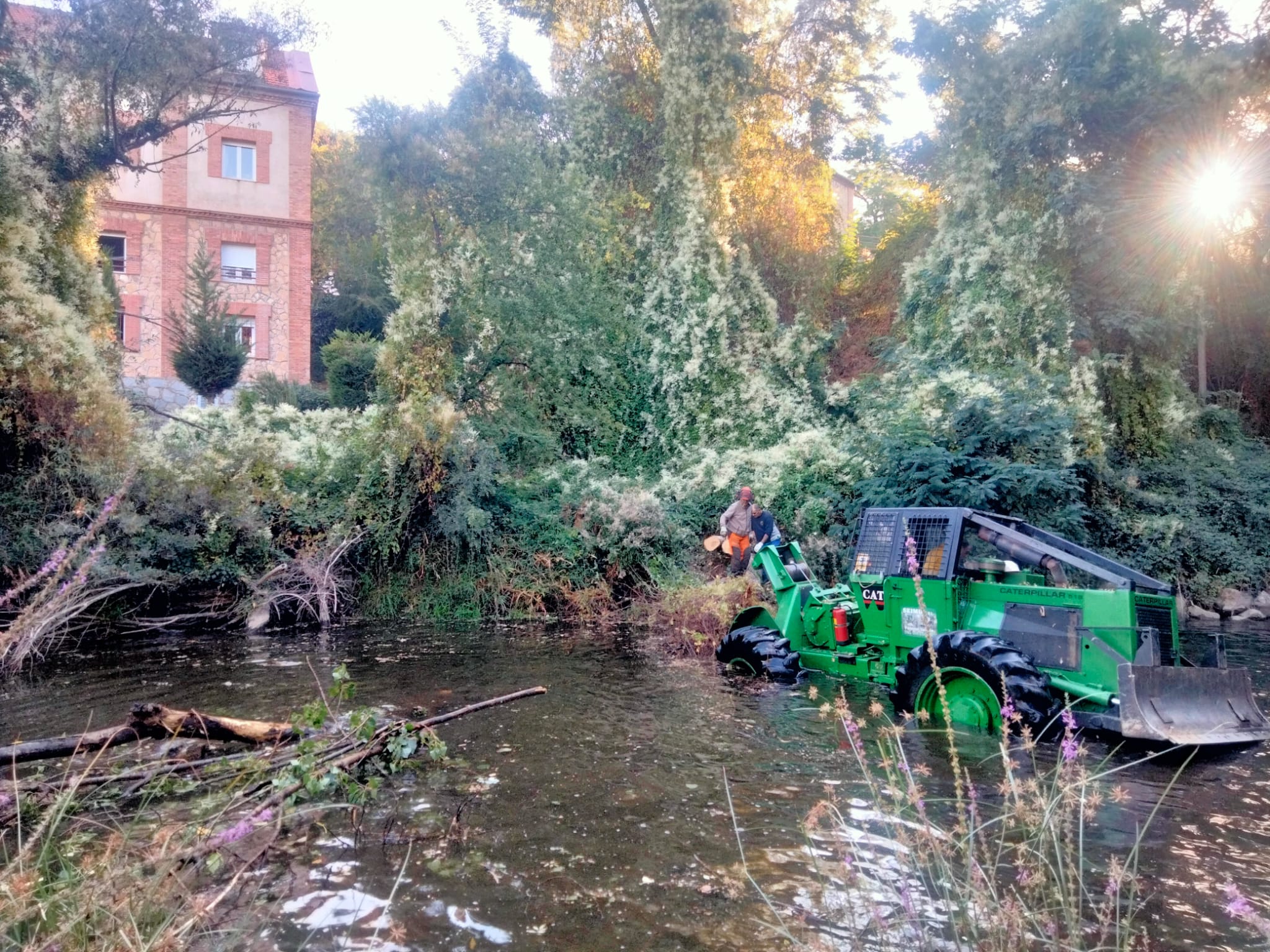 Trabajos de retirada de arbolado en el cauce del río Eresma a su paso por Segovia