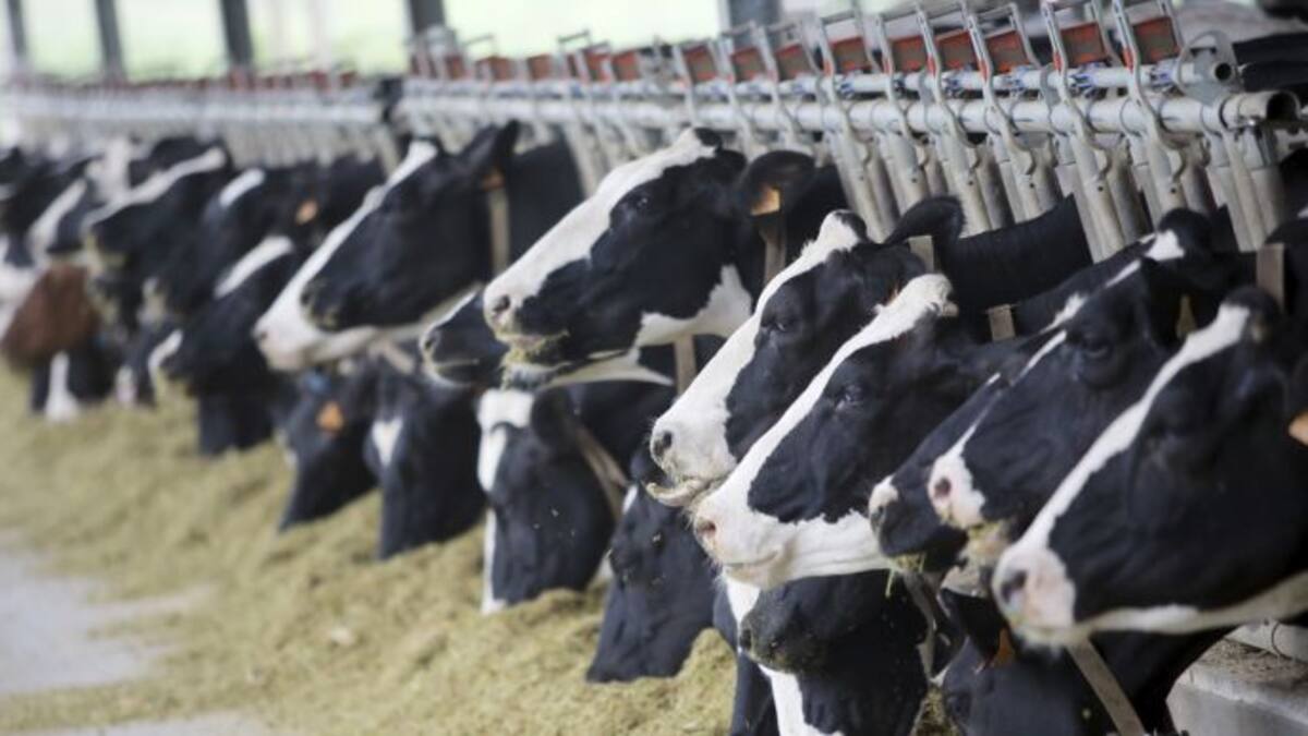 Audio: Roberto García, secretario xeral de Unións Agrarias (21/06/2016)