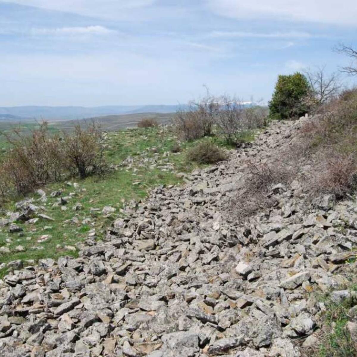 La Junta encarga estudios arqueológicos por más de 112.000 euros en Soria