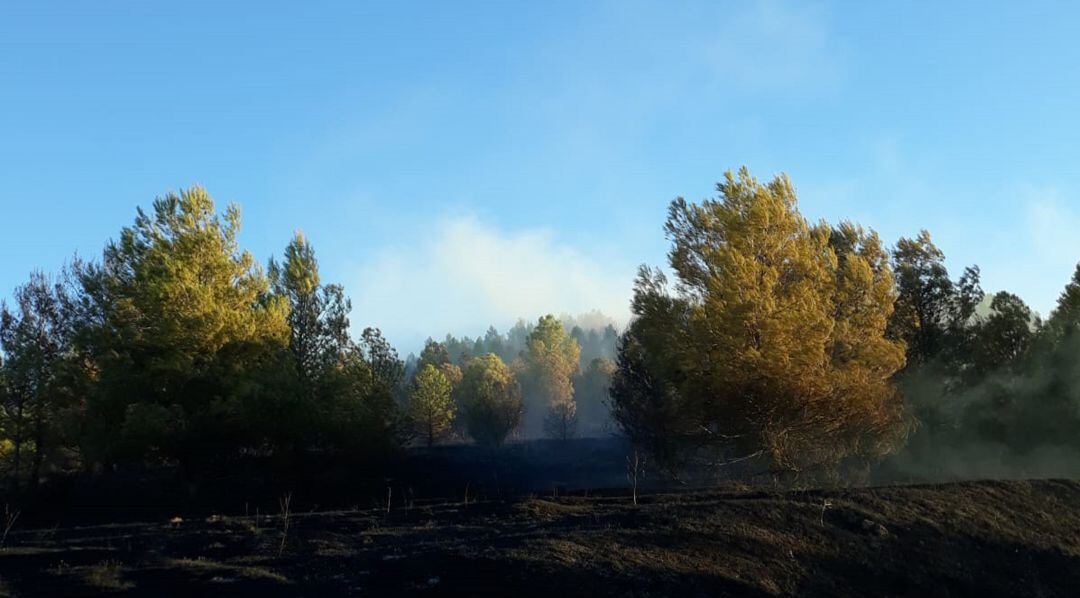 Incendio forestal en Fuentes.