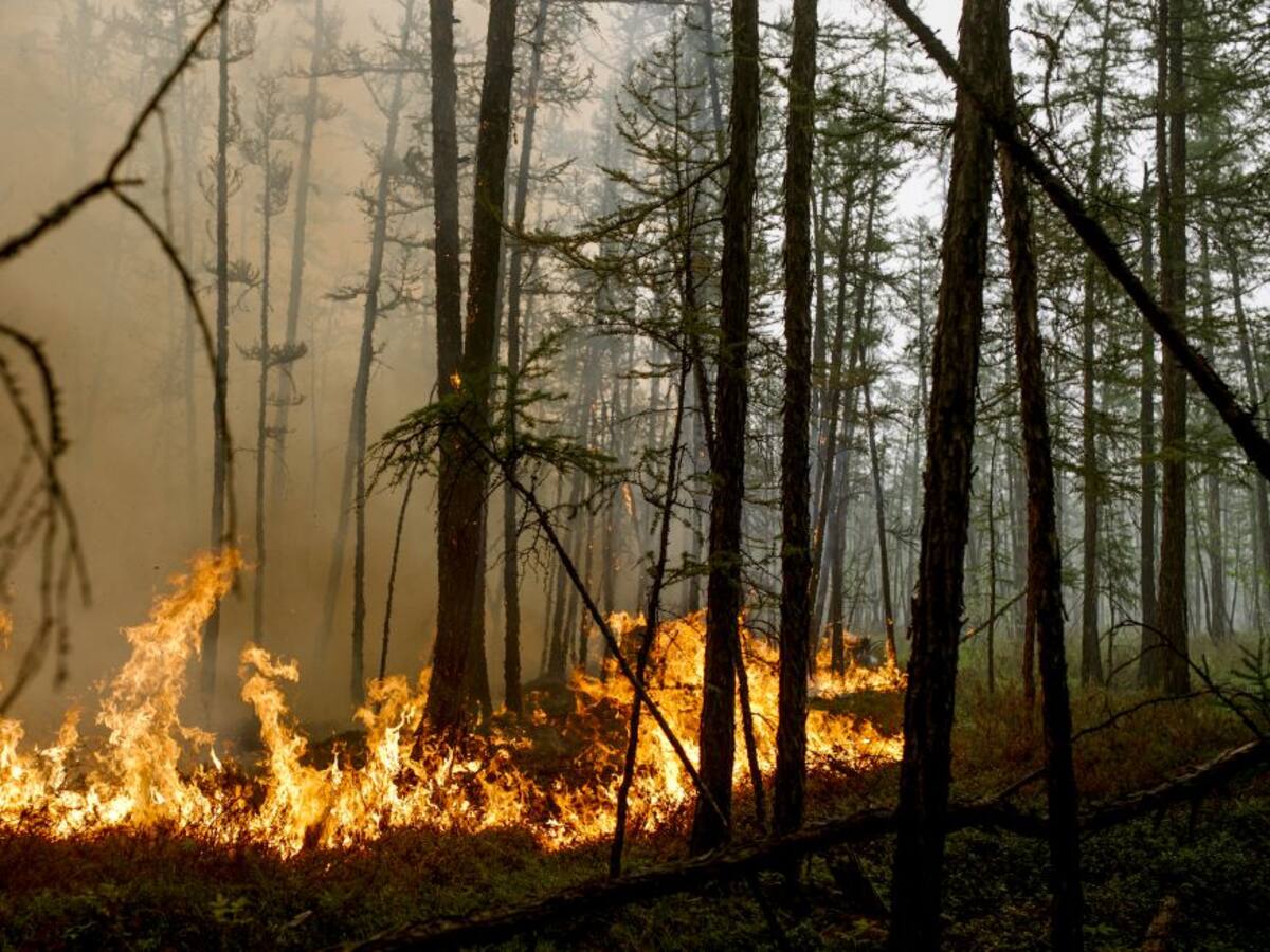 Rusia declara el estado de emergencia por la proximidad de un incendio a un centro de investigación nuclear