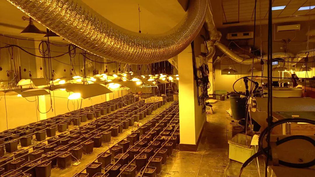 Interior de la sala de fiestas de Arahal en la que se montó un cultivo indoor de marihuana 