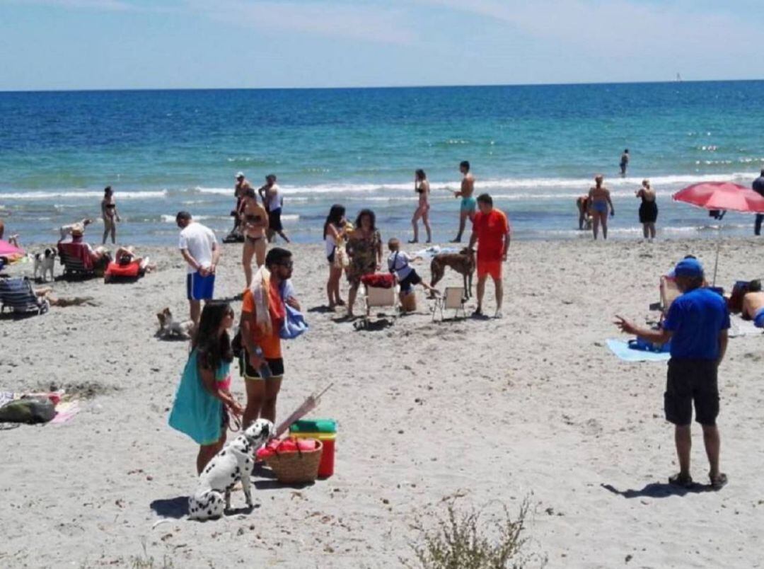 Playa para perros de Pinedo en València