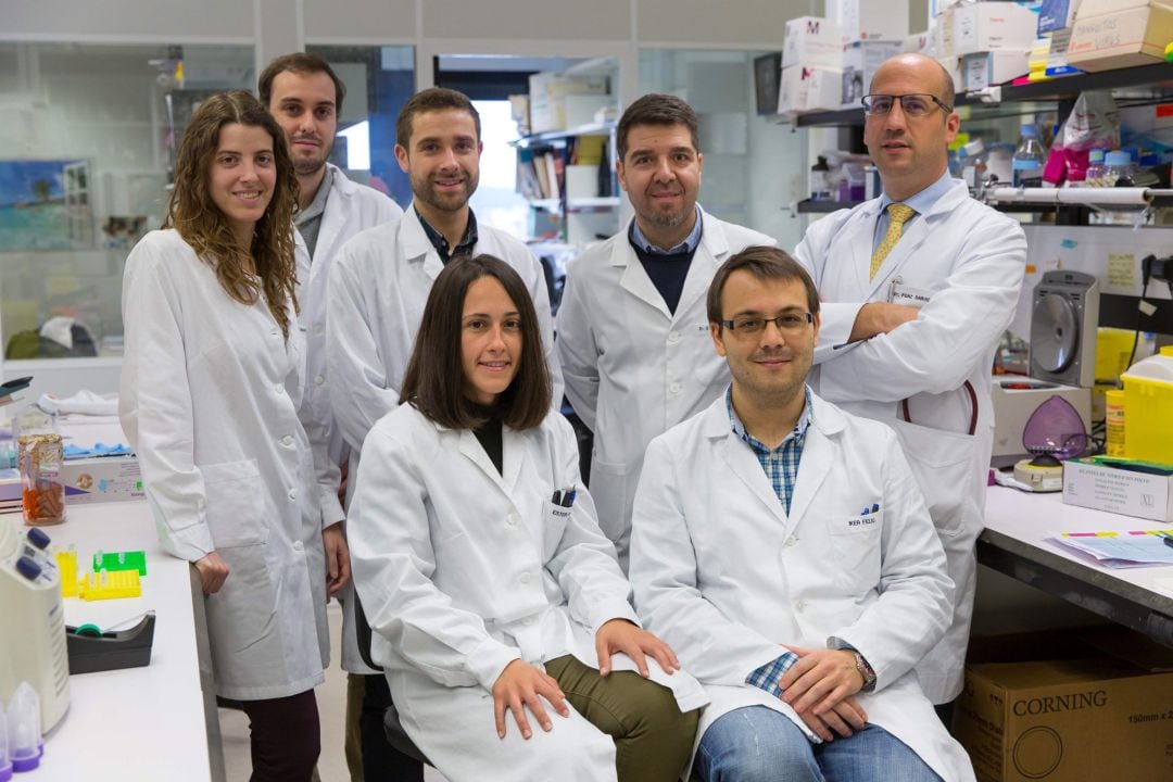 Los investigadores del Cima y la Clínica Universidad de Navarra pertenecientes a la línea de uso deorganoides. 