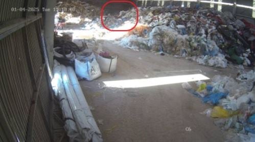 Foto de la cámara seguridad de Onaindia. Hora: 19:18 h