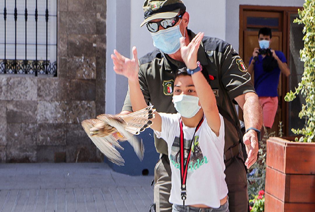 Un niño suelta una cría de cernícalo primilla que han sido puestas en libertad este fin de semana 