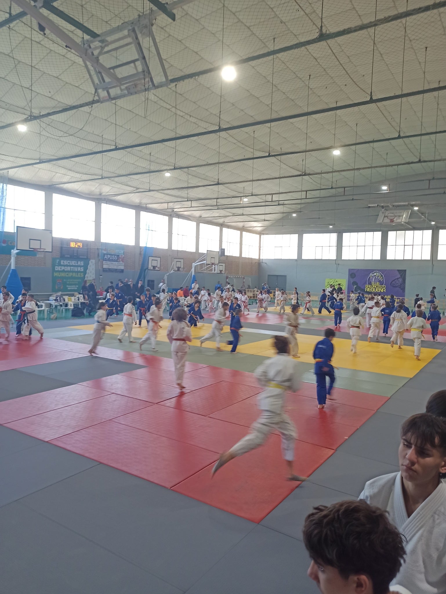 El Judocamv en Requena