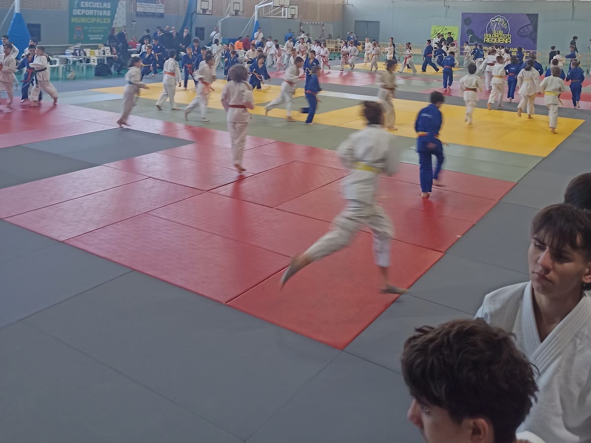 El Judo Camv consigue 5 pódiums en la Copa Valenciana de Judo, en Requena