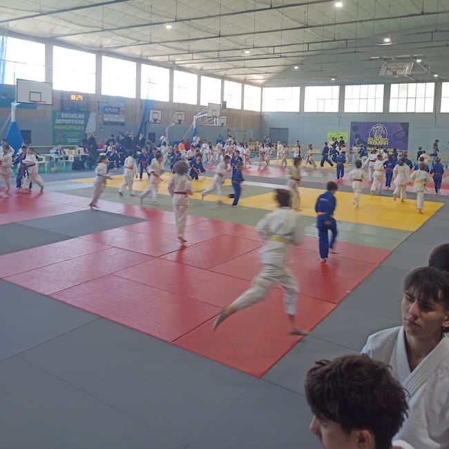 El Judocamv en Requena