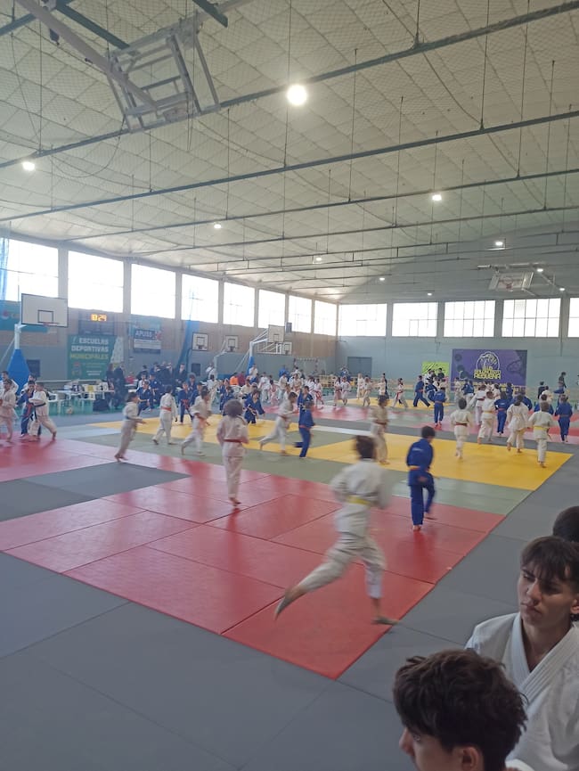 El Judocamv en Requena