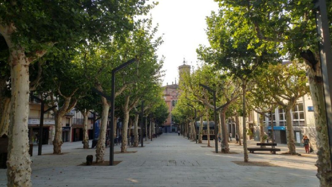 El Firal d'Olot