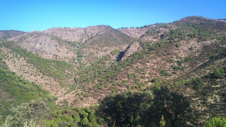 Imagen de la sierra de Córdoba