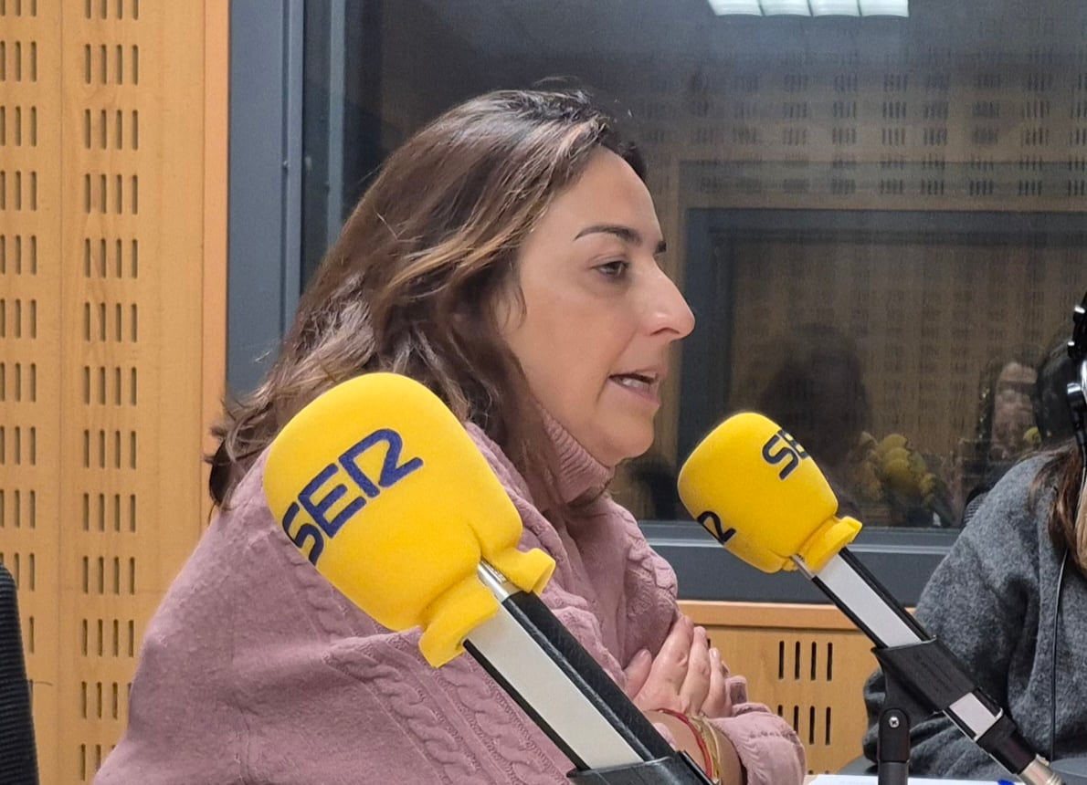 La alcaldesa de Palencia expresa su deseo para 2026 respecto a las pantallas acústicas