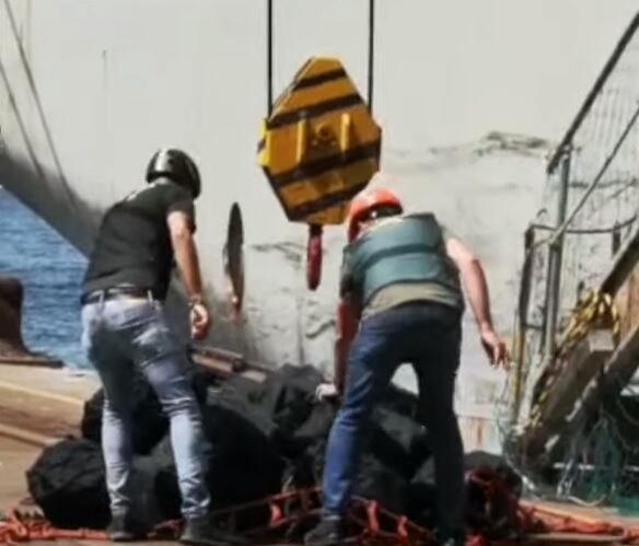 Agentes de Aduanas descargan la droga en el puerto de Algeciras / Youtube