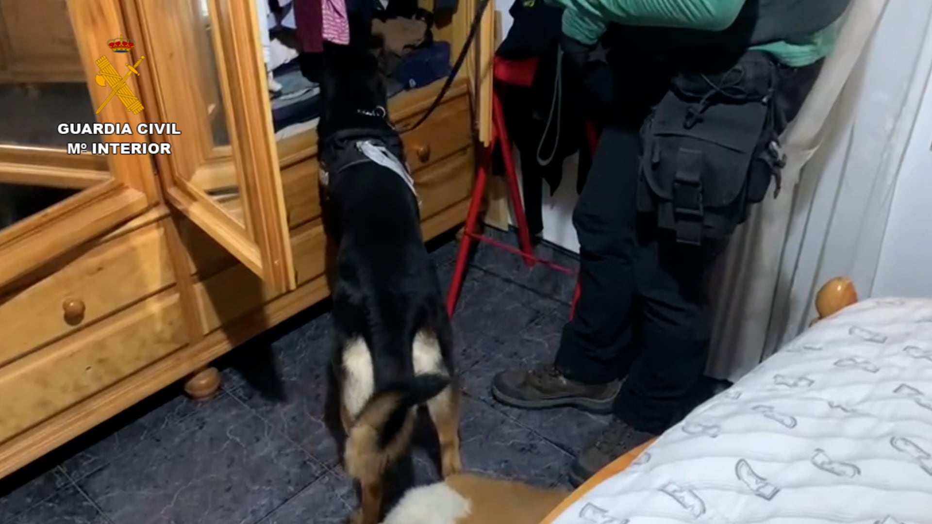 Registro de un domicilio