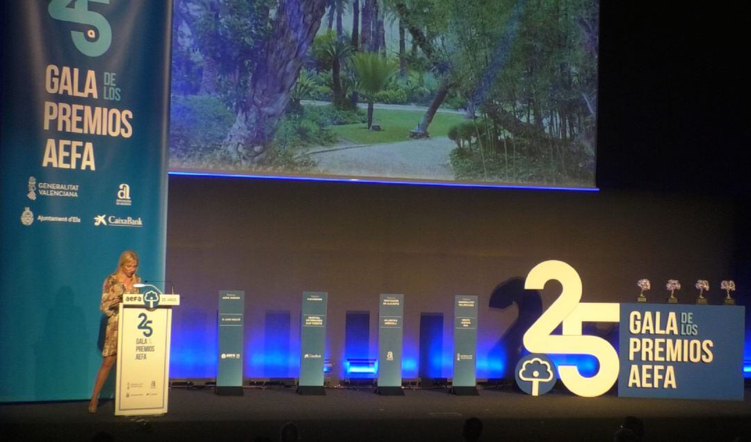 XXV edición Premios AEFA