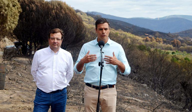 El secretario general del PSOE, Pedro Sánchez durante su visita a la zona de la comarca cacereña de Sierra de Gata afectada por los incendios, acompañado por el presidente extremeño, Guillermo Férnandez Vara.