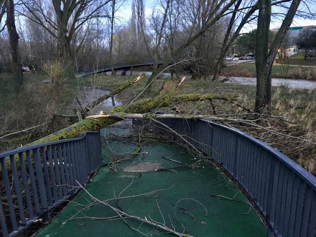 La borrasca Elsa también dejó su huella en Palencia capital