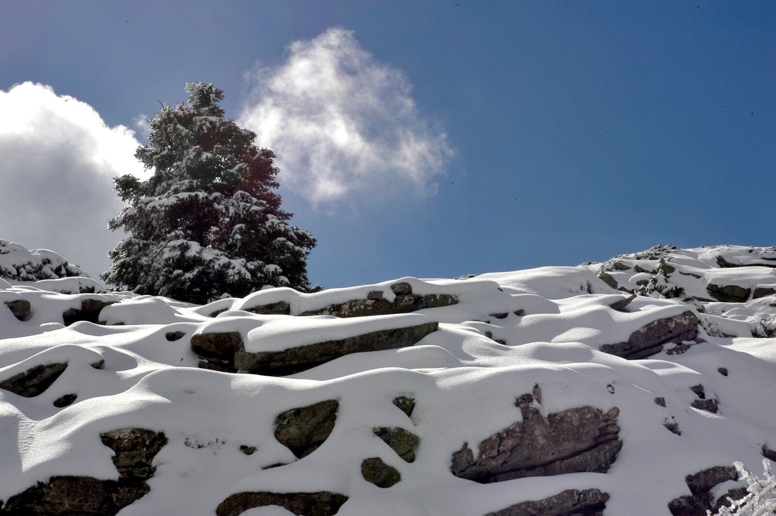 Sierra de las Nieves