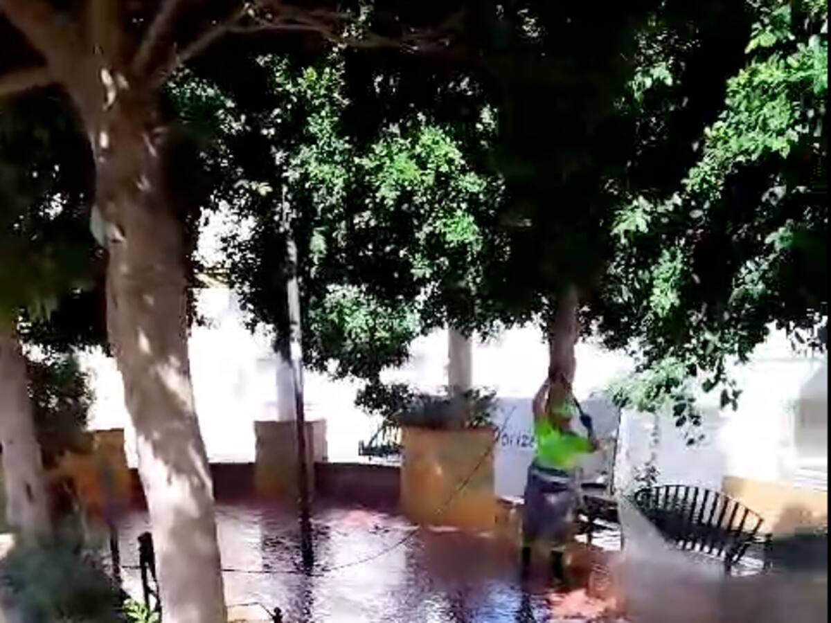 Pareja de Morón de la Frontera rechaza las ayudas del Ayuntamiento y sigue viviendo en una plaza de la localidad