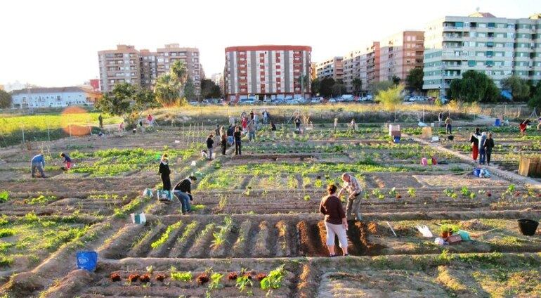 Vecinos de Benimaclet cultivando algunos solares abandonados en el barrio