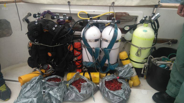 El corall intervingut per la policia a Begur