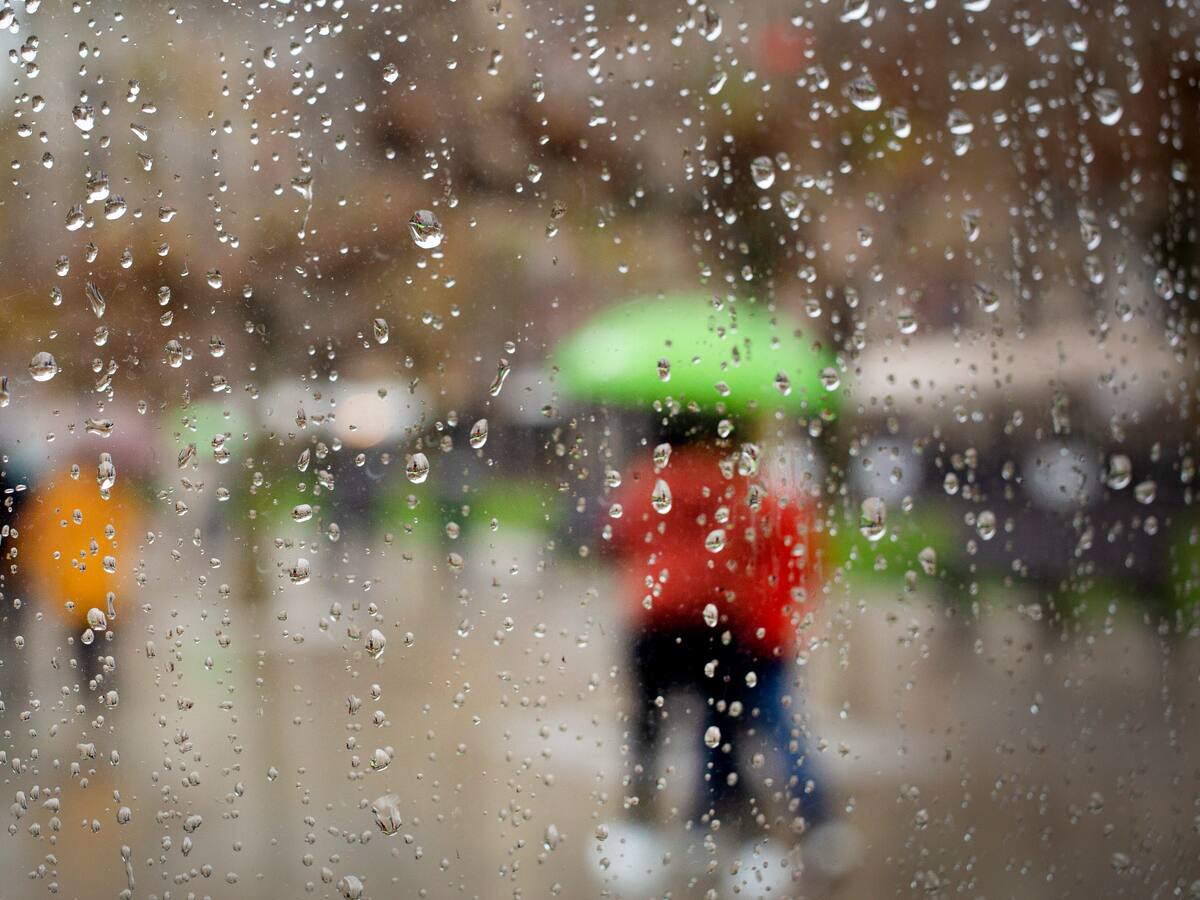 Adaptarse para sobrevivir