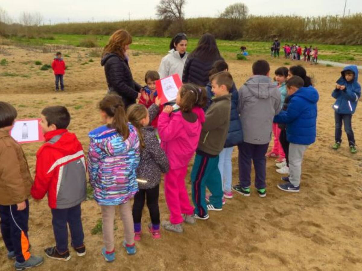 'Els professors i les escoles tenen ganes d'innovar i sortir de la zona de confort'