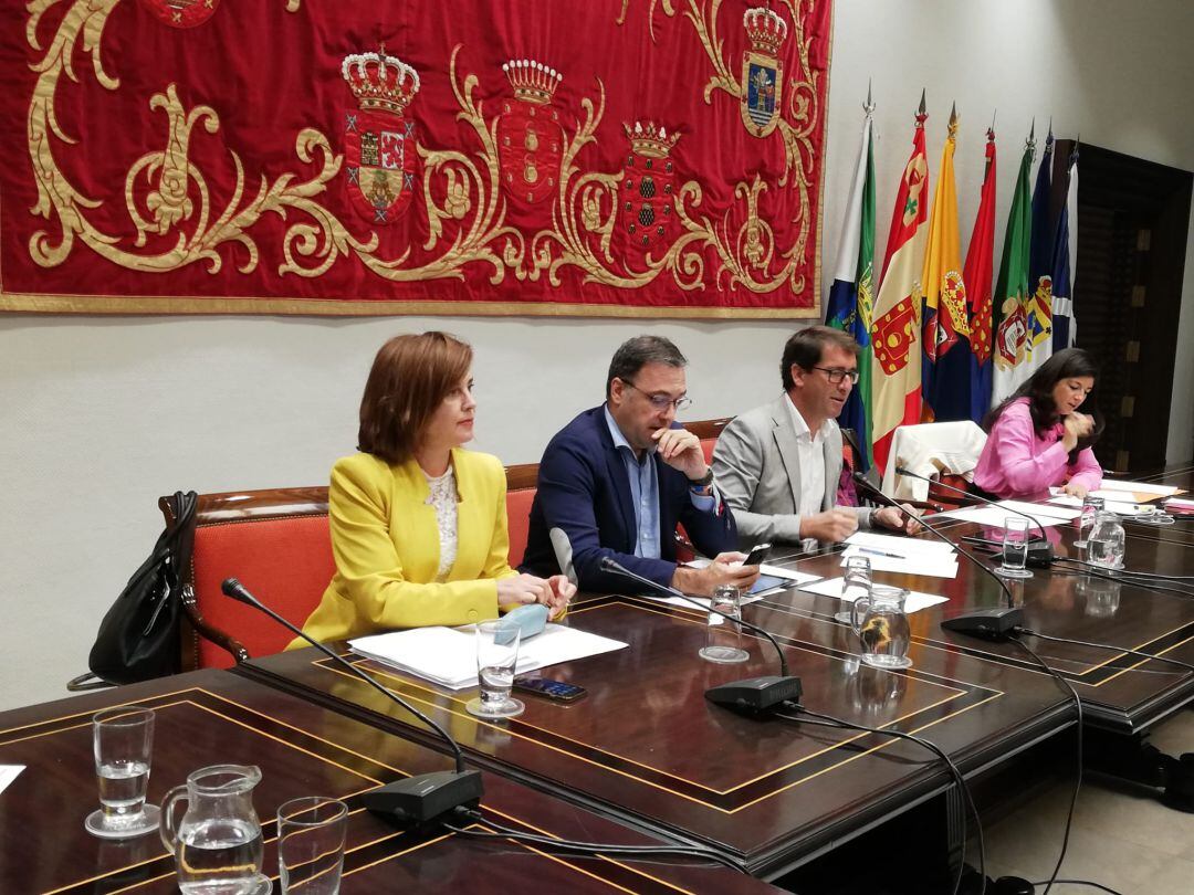 La consejera de Sanidad del Gobierno de Canarias, Teresa Cruz, en la comision parlamentaria.