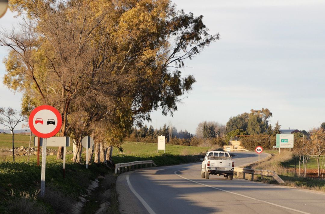 Un vehículo circula por la carretera de la Serranía de Ronda