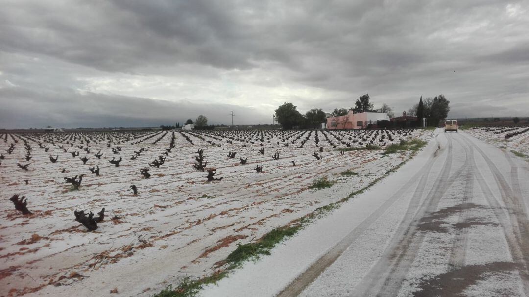 Granizo de este fin de semana en los viñedos