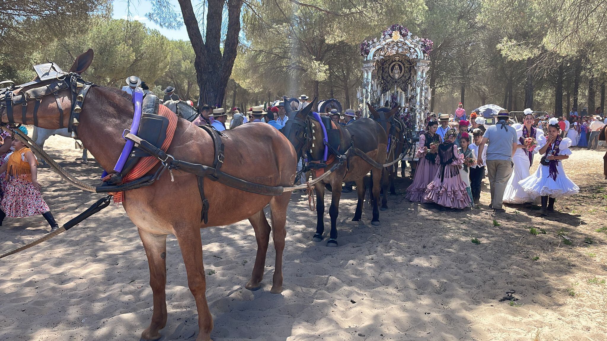 La Hermandad del Rocío de Jerez camino de la Aldea de Almonte en una imagen de archivo