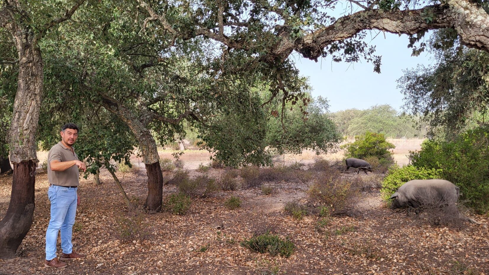 Pedro álvarez en su finca