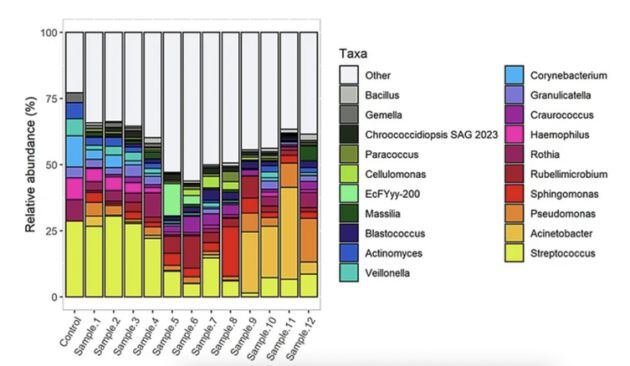 Dinámica de la variación de las comunidades microbianas a lo largo de doce semanas. Las barras representan la modificación del perfil microbiano a lo largo del tiempo.