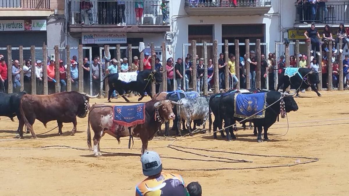Cuatro heridos en los 'toros ensogaos' de Beas de Segura
