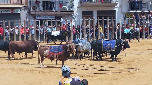Fiesta de San Marcos en Beas de Segura. Foto de archivo.
