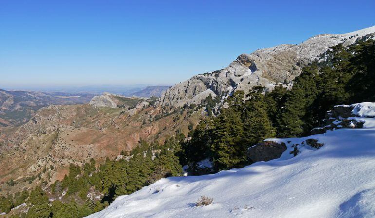 Entorno natural de la Sierra de las Nieves. 