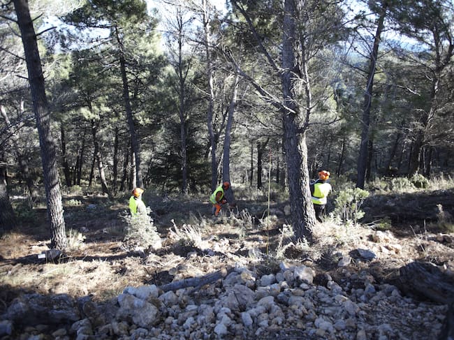 Extracción de madera