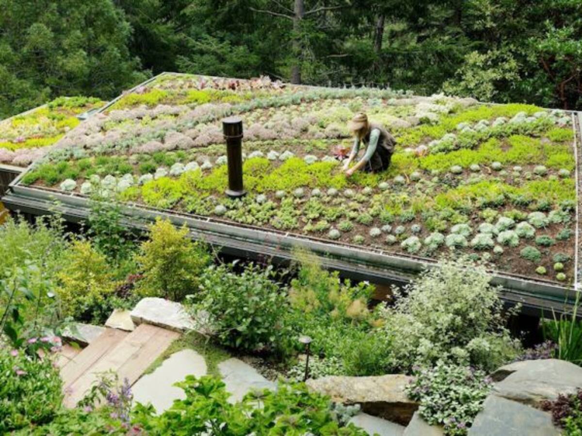 ‘¿Qué puedes hacer tú?'