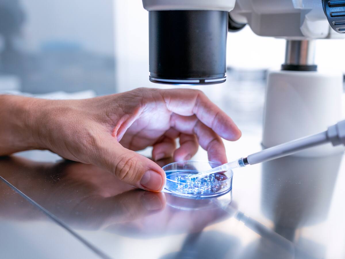 La Rioja estudia ampliar de 40 a 42 años la edad máxima para tratamientos de fertilidad