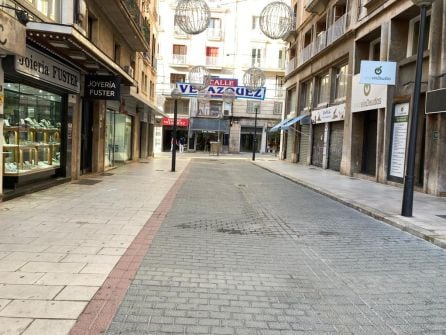 Comercios en la calle Velázquez.