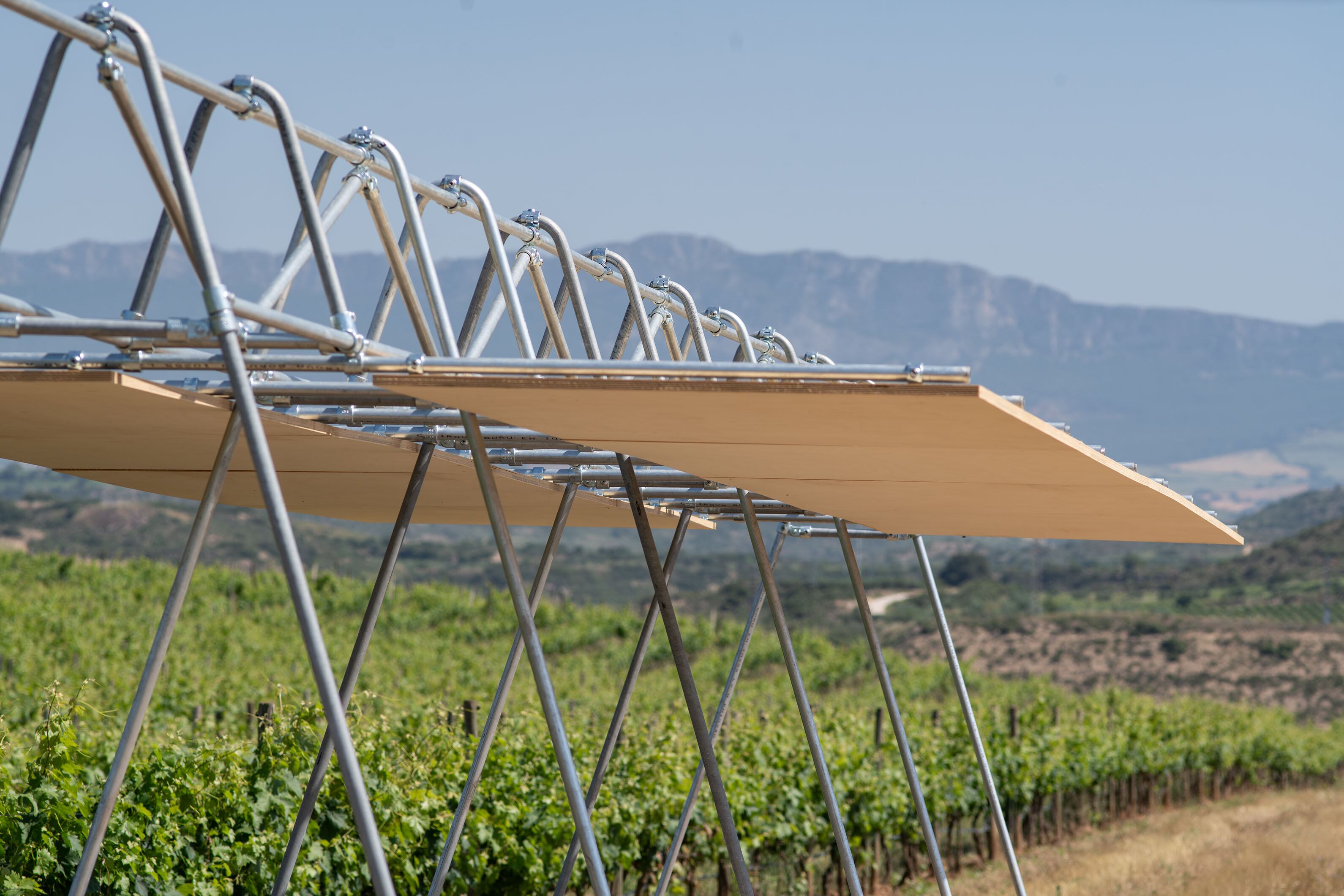 Earth Cooking. JMBAD – Joseph Melka + Balthazar Auguste – Dormeuil (Francia / Estados Unidos) en la Viña Lanciano – El Cortijo