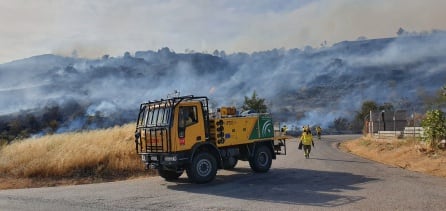 Los bomberos forestales trabajaron a destajo para controlar el incendio