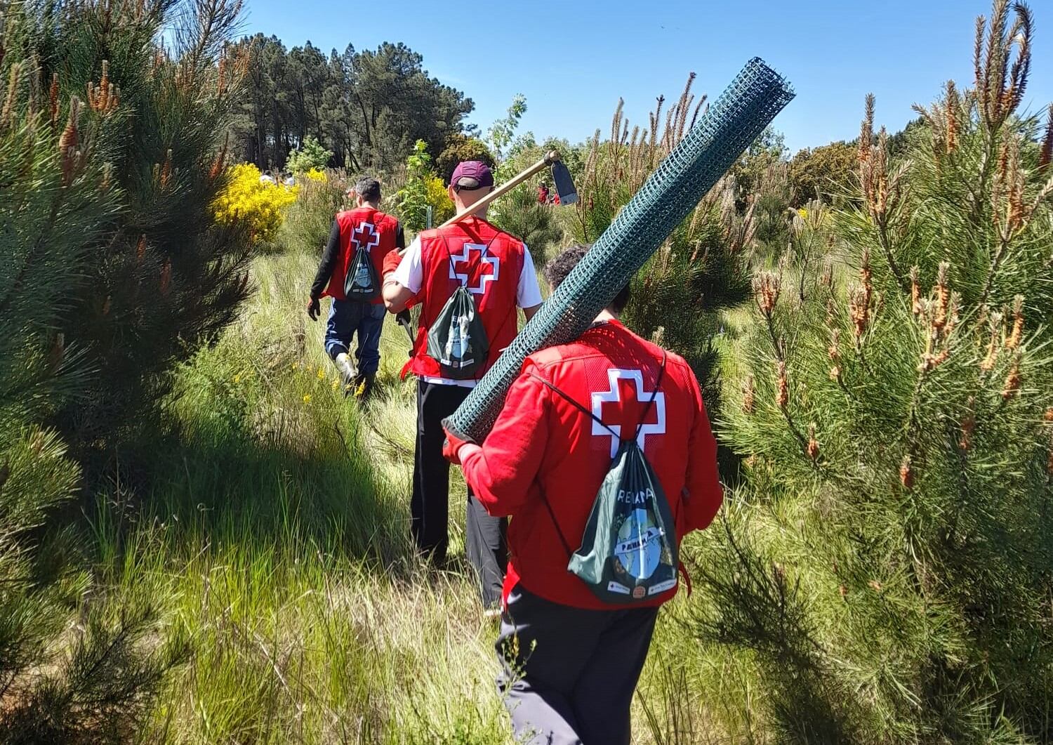 Volunatriado medioambiental de Cruz Roja en Palencia