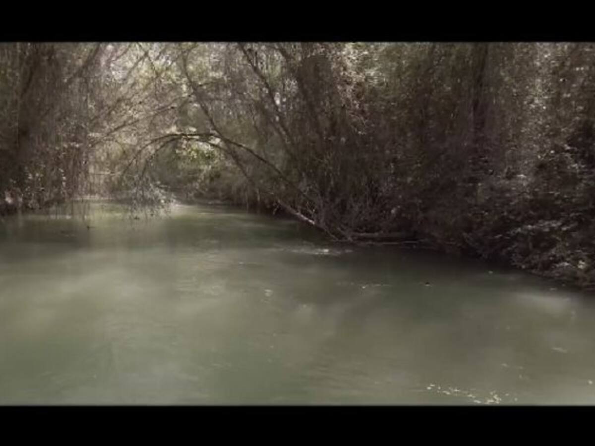 Ródenas advierte que la situación hídrica es muy grave, al entrar ya en el cuarto año de sequía