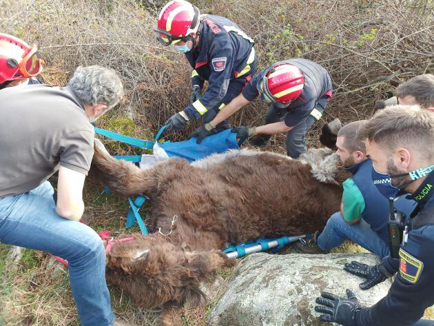 Olivia, rodeada por los equipos de emergencia.