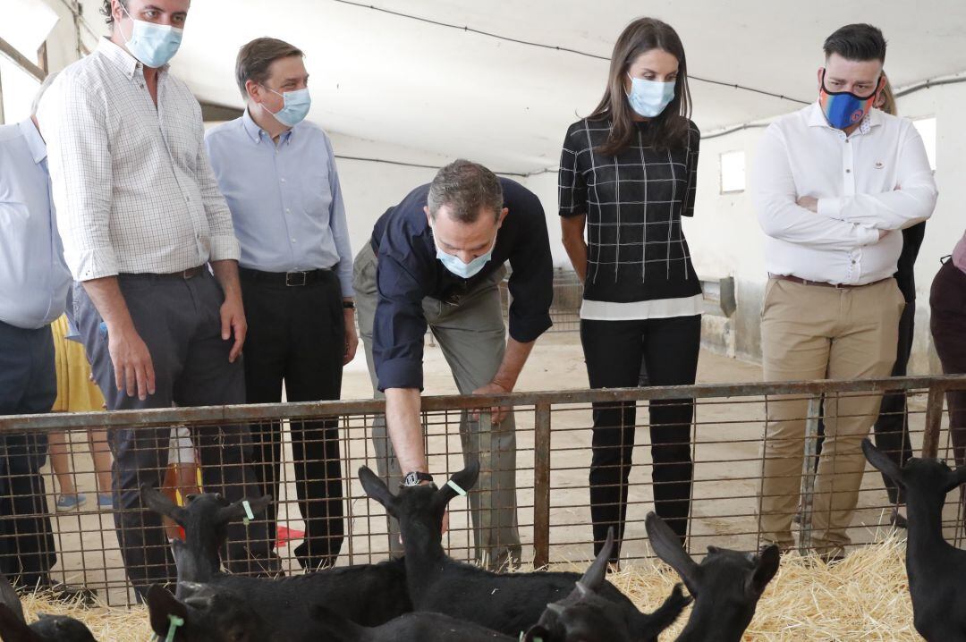 Felipe VI y la reina Letizia durante un momento de la visita junto a los responsables de la explotación (i) y autoridades como el alcalde de San Martín de la Vega (d).