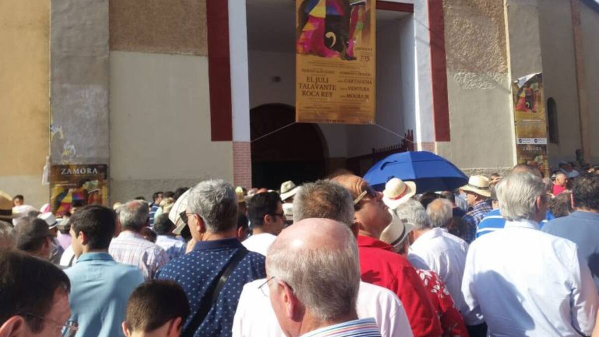Feria Taurina de San Pedro 2018